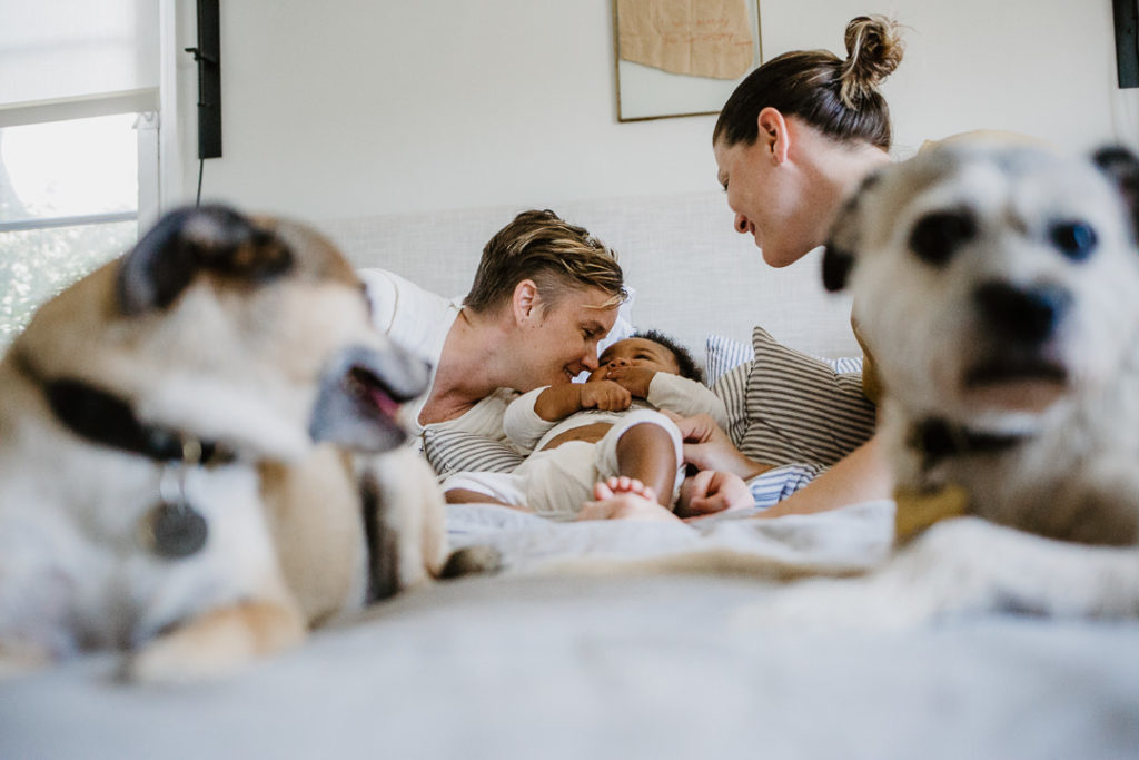 Two mamas snuggle their toddler son while their two dogs sit on the bed, Silver Lake, Los Angeles, CA