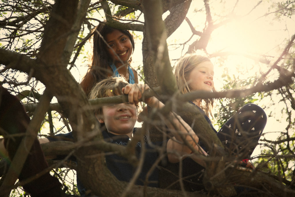 Kids in a tree