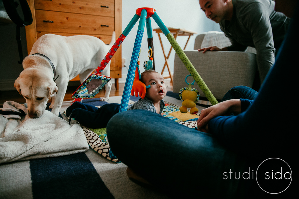 Baby on the playmat with mom, dad and dog all around, Los Angles, CA