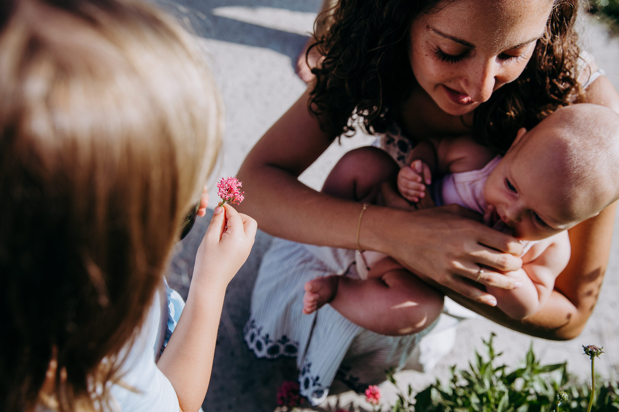 little girl holds a flower she picked and mom holds baby - Atwater Village, CA