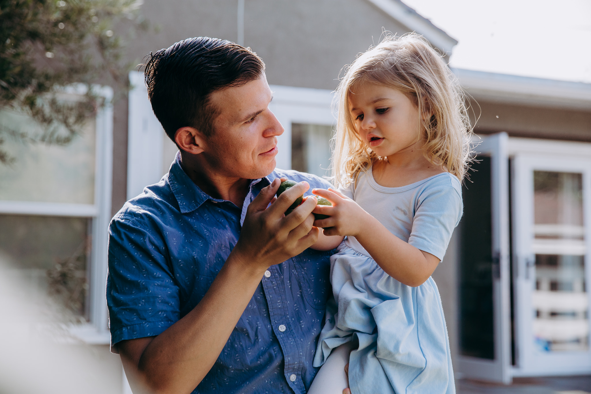 Dad holds daughter and picks limes - Atwater Village, CA