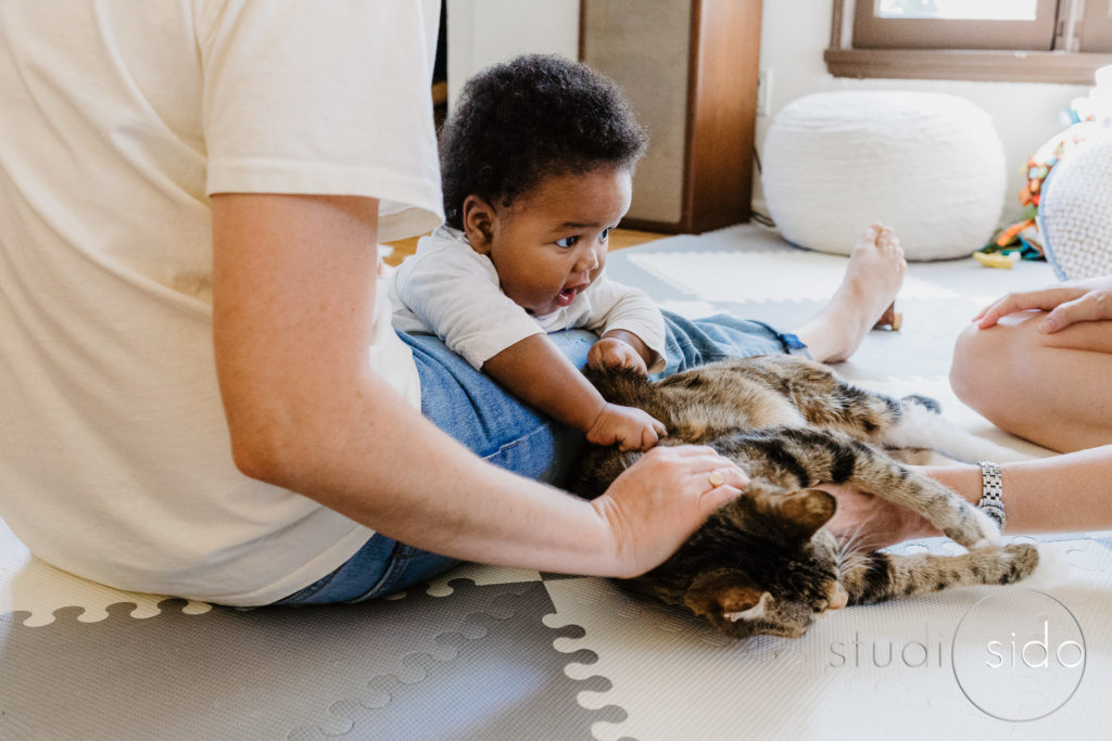 Little boy pets cat in home session Los Angeles, CA