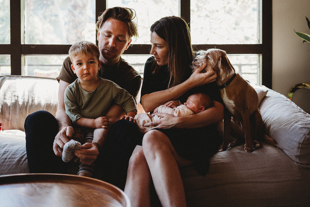 Family With Young Toddler, Newborn, and Dog Sit On Couch in Living Room