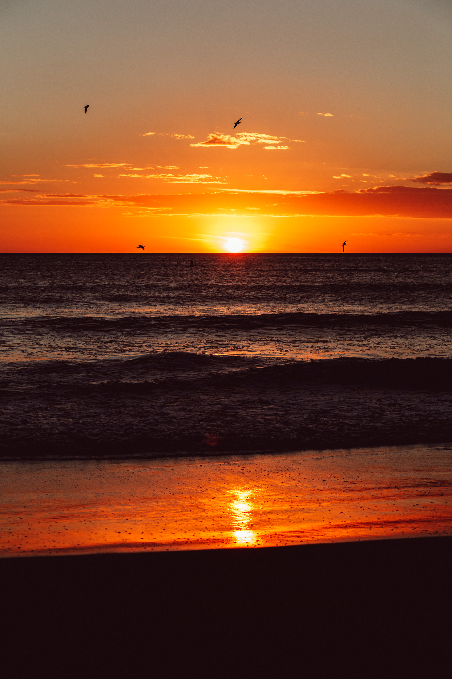 Sunset at the Annenberg Beach House, Santa Monica, CA