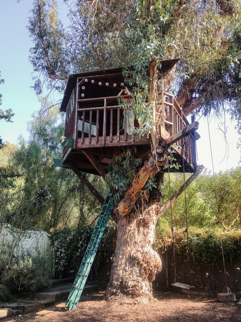 A boy in a tree house, looking through binoculars, in Topanga Canyon, CA